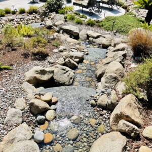 Water Features (38)