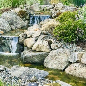 Water Features (40)