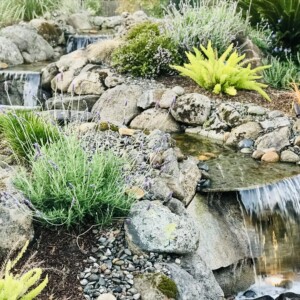 Water Features (41)