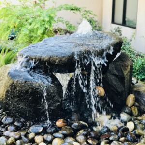Water Features (42)
