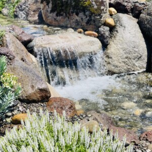 Water Features (45)