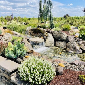 Water Features (46)