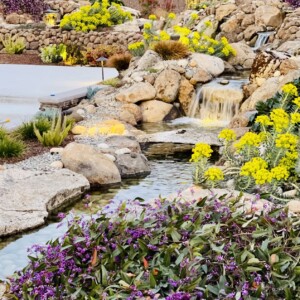 Water Features (8)